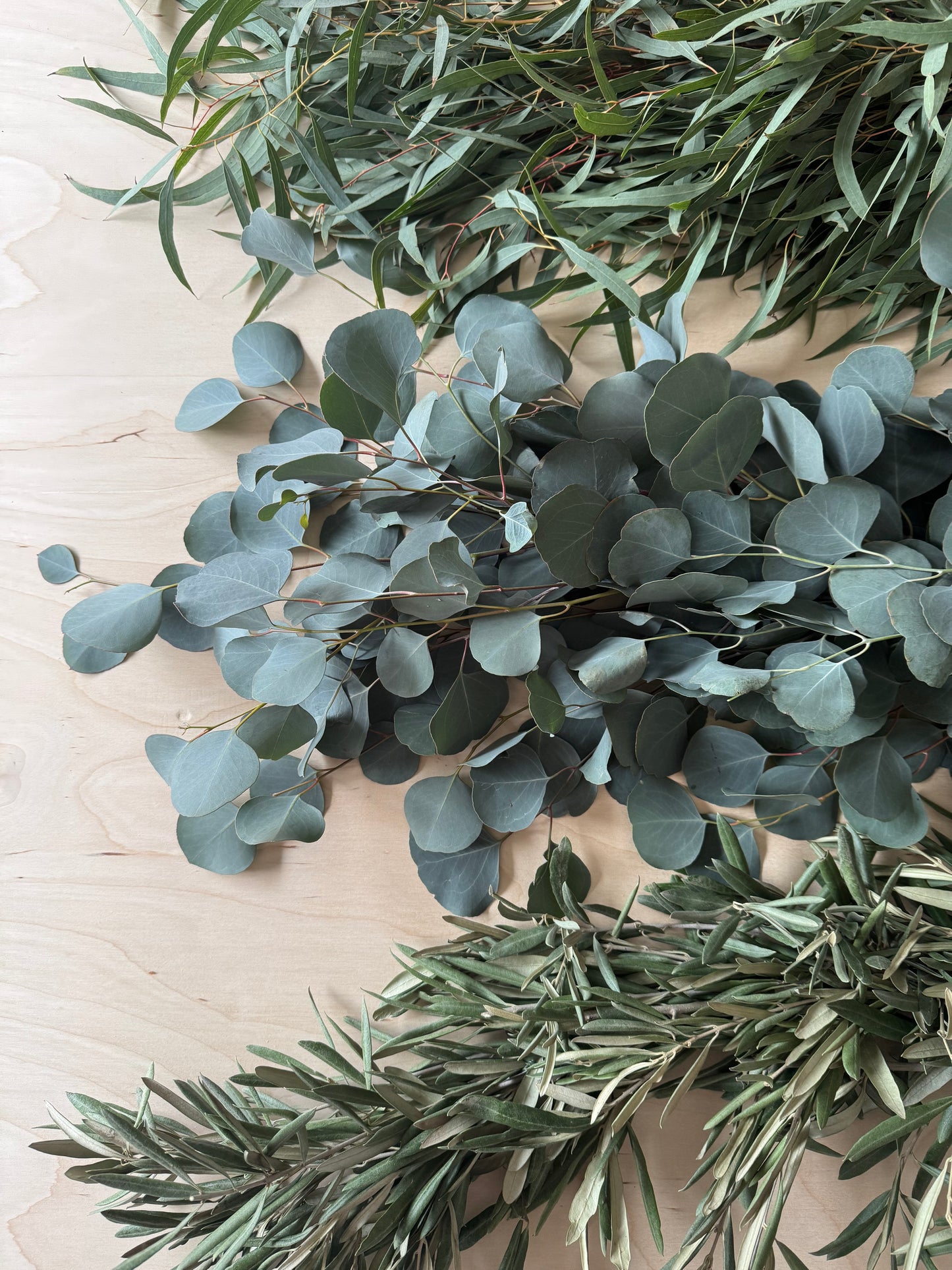 Fresh Eucalyptus Garland- Feather