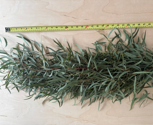 Fresh Eucalyptus Garland- Feather