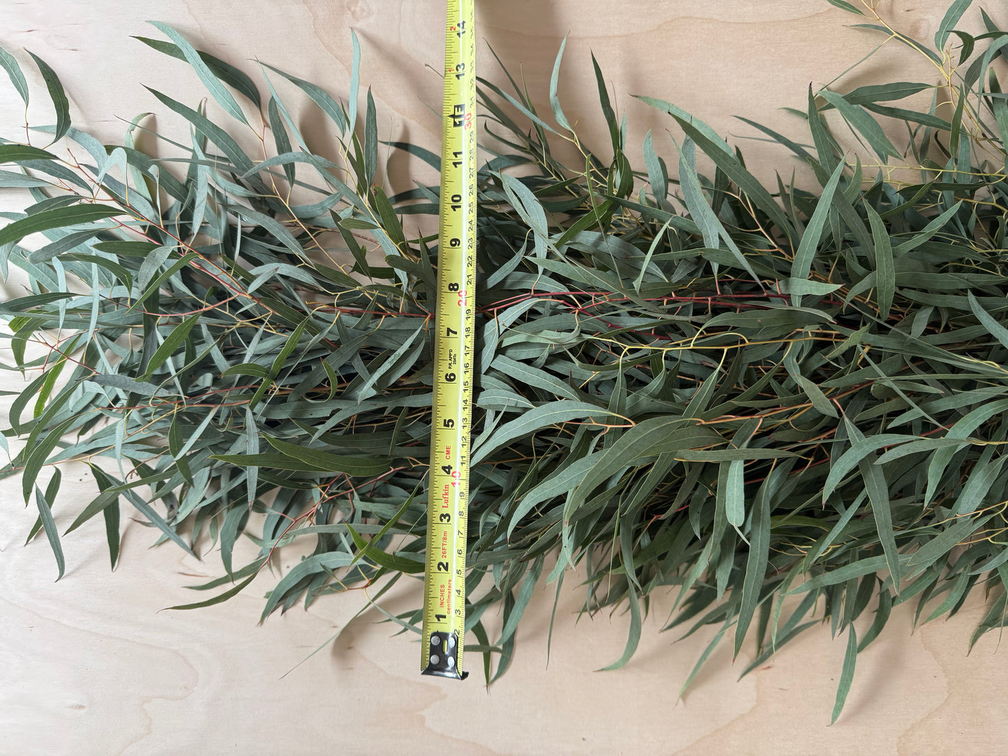 Fresh Eucalyptus Garland- Feather