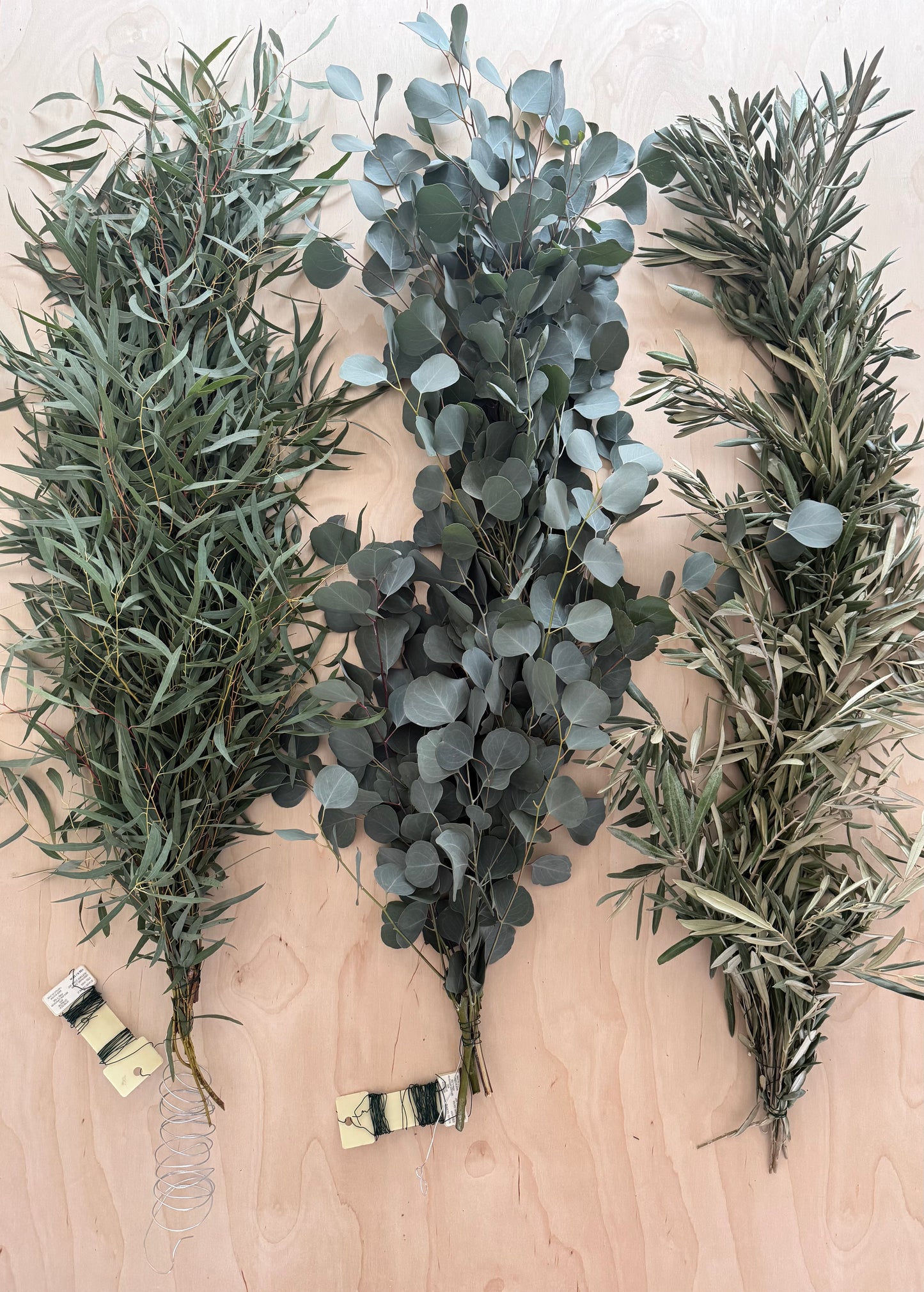 Fresh Garland - Feather Eucalyptus