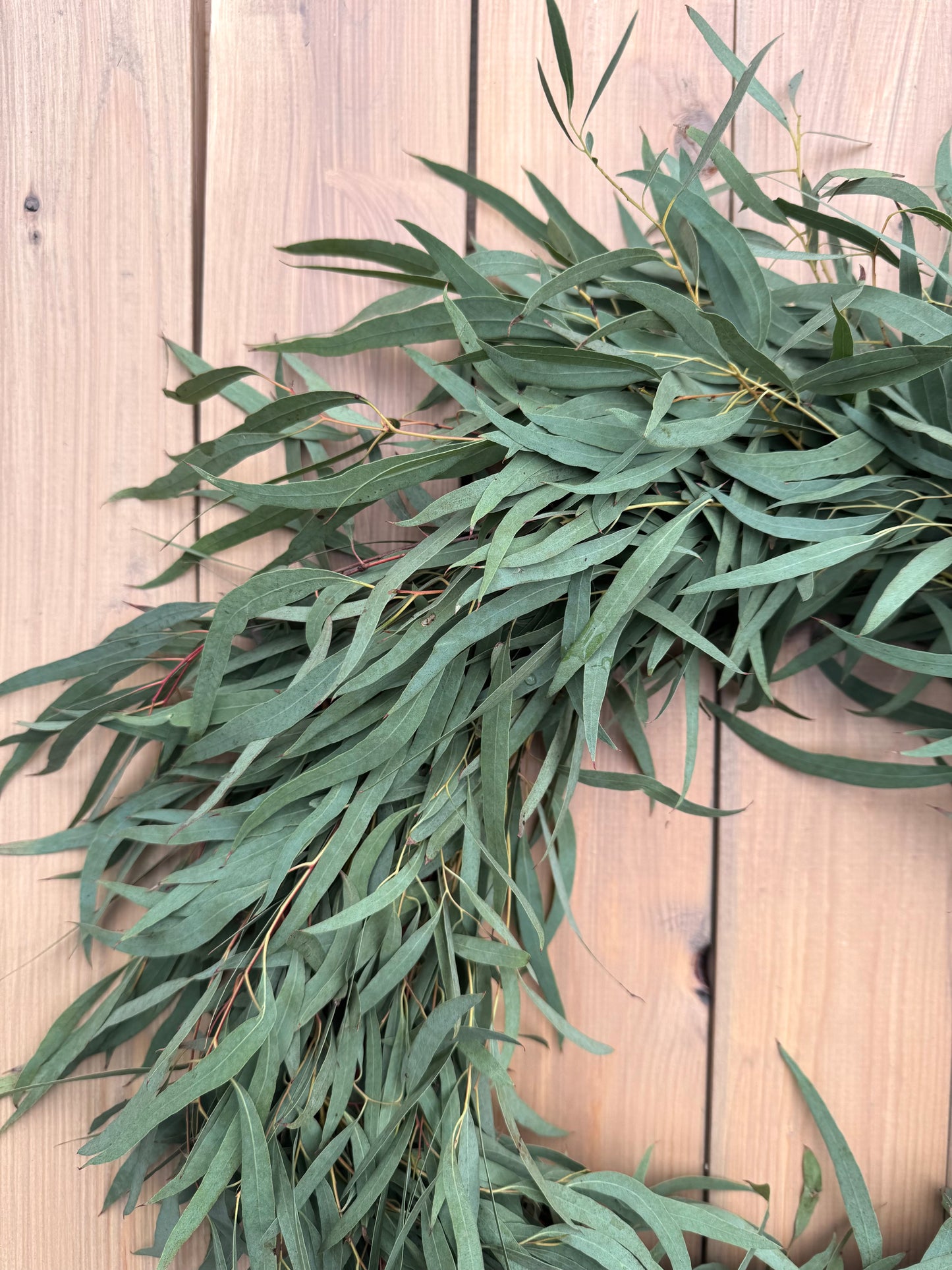 Fresh Eucalyptus Wreath - Feather