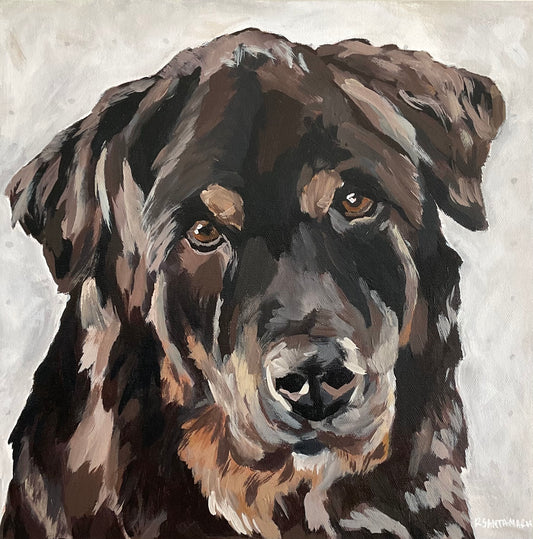 Custom Pet Portrait