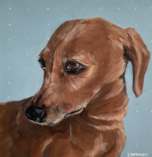 Custom Pet Portrait