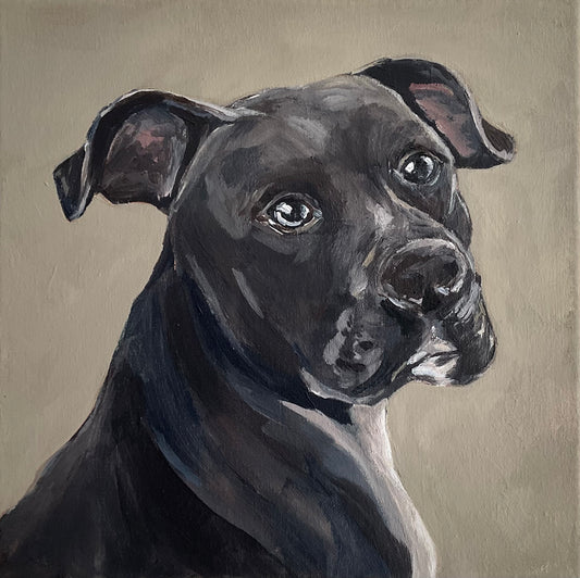 Custom Pet Portrait