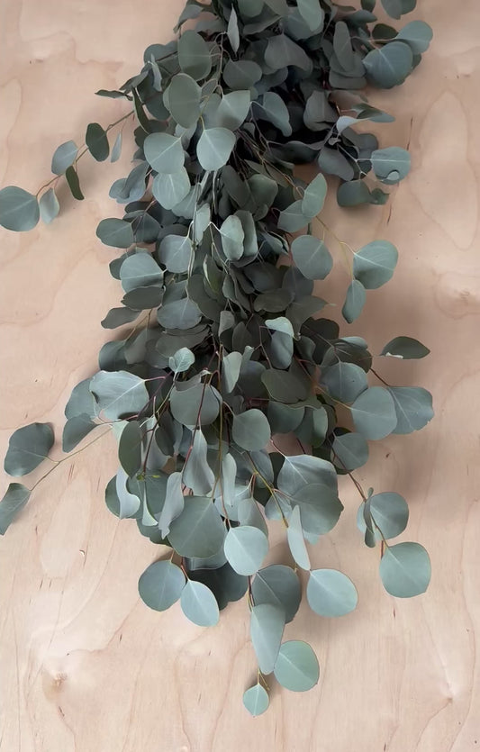 Fresh Garland - Silver Dollar Eucalyptus