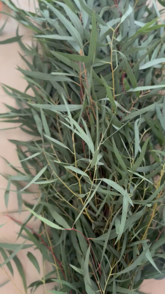 Fresh Garland - Feather Eucalyptus